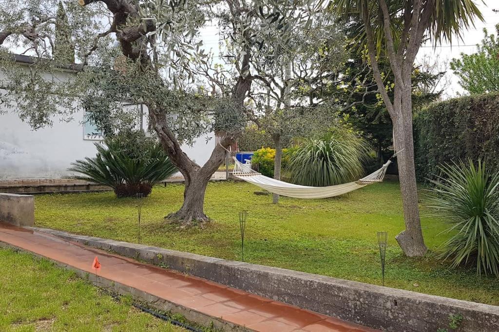 Countryhouse Gli Ulivi Modugno Exterior foto
