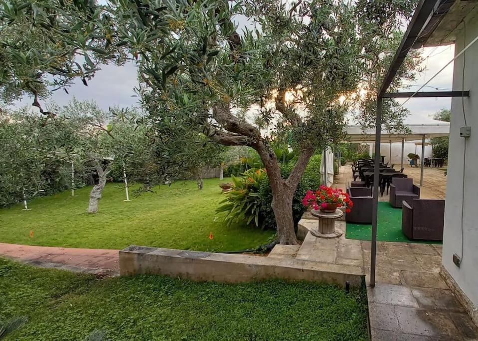 Countryhouse Gli Ulivi Modugno Exterior foto