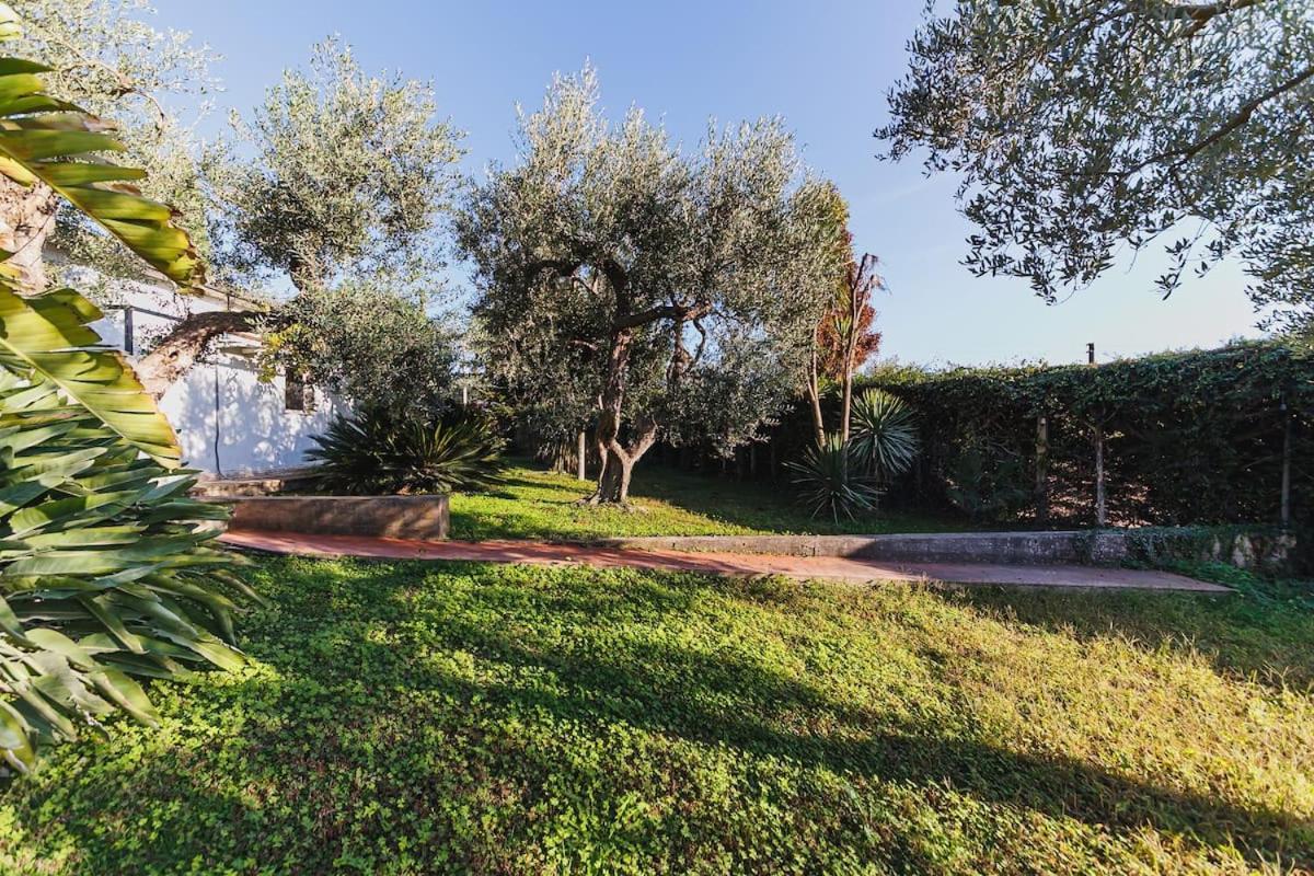 Countryhouse Gli Ulivi Modugno Exterior foto